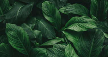 Andrew Stevens, Senior Director, Enterprise Digital at Quadient, breaks down how companies can adjust to the fact consumers are seeking reassurance and guidance to feel confident that their communication choices align with their environmental values.